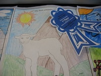 The Best of Kittitas County Coloring Contest Entry - Drawing of a sheep on grassy hills in front of two mountains