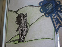 The Best of Kittitas County Coloring Contest Entry - Drawing of a horse running through grassy hills