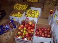 Produce Donation Project