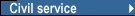 Civil service