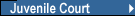 Juvenile Court Services