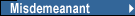 Misdemeanant Probation