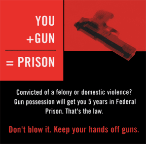 You + Guns = Prison