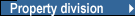 Property division