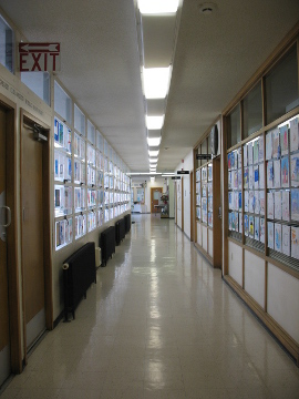 County Government Month 2013