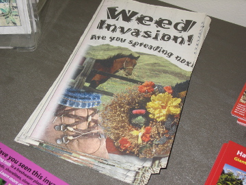 County Government Month 2013