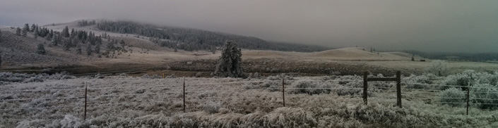 Welcome to Kittitas County