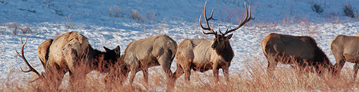 Welcome to Kittitas County