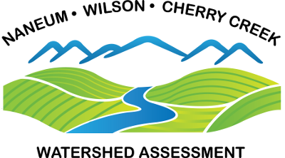Naneum Wilson Cherry Creek Watershed Assessment
