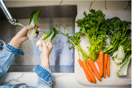 Above view of a persons hands washing vegetables in a sink. 