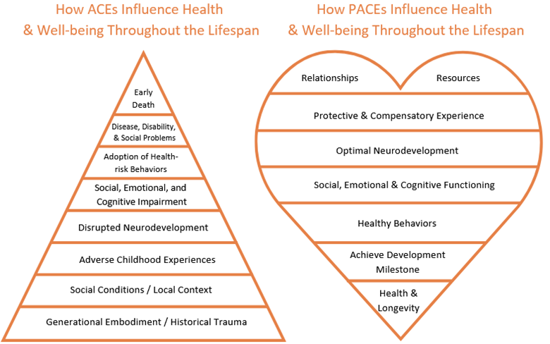 ACE and PACE
